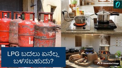 LPG Alternatives: ಎಲ್‌ಪಿಜಿ ಬೆಲೆ ಏರಿಕೆಗೆ ಹೆದರಬೇಡಿ: ನಮ್ಮಲ್ಲೇ ಇರುವ ಈ ಪರ್ಯಾಯ ಮಾರ್ಗಗಳನ್ನು ಅಳವಡಿಸಿಕೊಂಡು ಜಾಣರಾಗಿ