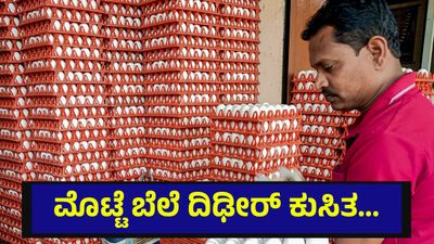 ಮೊಟ್ಟೆ ಬೆಲೆ ಭಾರಿ ಕುಸಿತ, ಕೋಟಿ ಕೋಟಿ ರೂಪಾಯಿ ಕಳೆದುಕೊಳ್ಳುತ್ತಿರುವ ರೈತರು... Operation Roaring Lion