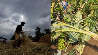 Rain Damage: ರಾಜ್ಯದಲ್ಲಿ ಮಳೆ ಅಬ್ಬರ, 10 ಜಿಲ್ಲೆಗಳಲ್ಲಿ ಬೆಳೆ ನಾಶ; ಪರಿಹಾರದ ನಿರೀಕ್ಷೆಯಲ್ಲಿ ಅನ್ನದಾತ