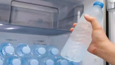 Summer Alert: ಬೇಸಿಗೆಯಲ್ಲಿ ಫ್ರಿಜ್ ನೀರು ಕುಡಿಯುತ್ತಿದ್ದೀರಾ? ಮೊದಲು ಈ ವಿಷಯ ತಿಳಿದುಕೊಳ್ಳಿ