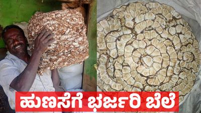 Tamarind Price: ಹುಣಸೆ ಬೆಲೆಯಲ್ಲಿ ಭರ್ಜರಿ ಹೆಚ್ಚಳ: ಇಂದಿನ ಬೆಲೆ ಎಷ್ಟಿದೆ, ಹುಣಸೆ ಹಣ್ಣು ಬೆಲೆ ಏರಿಕೆಗೆ ಕಾರಣವೇನು 