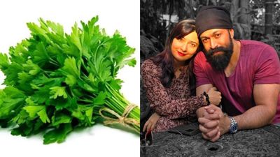 Radhika Pandit: ಯಶ್‌ ನೀಡಿದ ಮೊದಲ ಗಿಫ್ಟ್‌ ಕೊತ್ತಂಬರಿ ಸೊಪ್ಪು: ಹಳೆ ನೆನಪು ಬಿಚ್ಚಿಟ್ಟ ರಾಧಿಕಾ ಪಂಡಿತ್‌