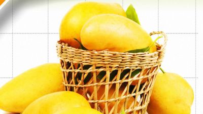 ಒಂದು ಮಾವಿನ ಹಣ್ಣಿನ ಬೆಲೆ 25,000 ರೂ.! ಜಗತ್ತಿನ ಟಾಪ್ 10 ದುಬಾರಿ ಮಾವುಗಳಿವು