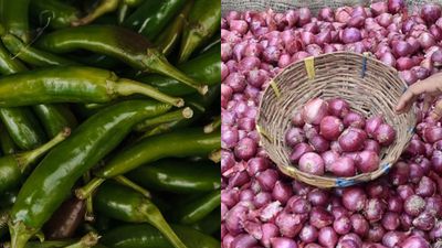 Summer Health Tips: ಬೇಸಿಗೆಯಲ್ಲಿ ಈ 6 ತರಕಾರಿಗಳನ್ನು ತಿನ್ನಲೇಬಾರದು; ಕಾರಣ ತಿಳಿಯಿರಿ