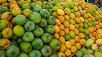 Mangoes: ಮಾವಿನಹಣ್ಣು ಖರೀದಿ ಮಾಡುವಾಗ 3 ತಪ್ಪು ಮಾಡ್ಬೇಡಿ! ಈ 6 ಟ್ರಿಕ್ಸ್ ತಿಳ್ಕೊಂಡಿರಿ