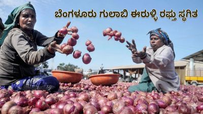 ಬೆಂಗಳೂರು ಗುಲಾಬಿ ಈರುಳ್ಳಿ ರಫ್ತು ಸ್ಥಗಿತ: ಬೆಳೆಗಾರರು ಕಂಗಾಲು; ಕೇಂದ್ರದ ತುರ್ತು ನೆರವಿಗೆ ಡಾ. ಸುಧಾಕರ್ ಆಗ್ರಹ