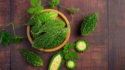 ಮನೆಯಲ್ಲಿ ಹಾಗಲಕಾಯಿ ಬೆಳೆಸುತ್ತಿದ್ದೀರಾ? ಹಾಗಾದರೆ 4 ವಾಸ್ತು ನಿಯಮಗಳು ತಿಳಿಯಿರಿ