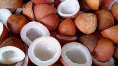 ಕಲ್ಪತರು ನಾಡು ತುಮಕೂರು ಜಿಲ್ಲೆಯ ತಿಪಟೂರು ಎಪಿಎಂಸಿಯಲ್ಲಿ ಕೊಬ್ಬರಿ ಬೆಲೆ ಮತ್ತಷ್ಟು ಏರಿಕೆ