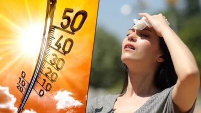 Heatwave: ಮೇಗೂ ಮುನ್ನವೇ ಭಾರತದಲ್ಲಿ ಬಿರು ಬಿಸಿಲು: ದೇಶದಾದ್ಯಂತ ತಾಪಮಾನ ಏರಿಕೆ