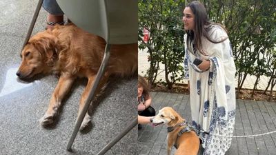  Ramya Divya Spandana: ಬೀದಿ ನಾಯಿಗಳ ಹಿಂಸೆಗೆ ವಿರೋಧ: ರಸ್ತೆಗಿಳಿದು ಕಣ್ಣೀರು ಹಾಕಿದ ನಟಿ ರಮ್ಯಾ, ಇಲ್ಲಿದೆ ವೈರಲ್ ವಿಡಿಯೋ 