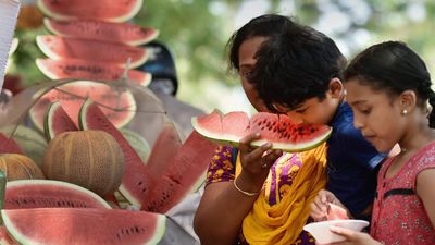 Summer Health Tips: ದೇಹ ತಂಪಾಗಿರಬೇಕಾ? ಹಾಗಾದರೆ ಈ 5 ನೈಸರ್ಗಿಕ ಆಹಾರಗಳು ಬಳಸಿ 