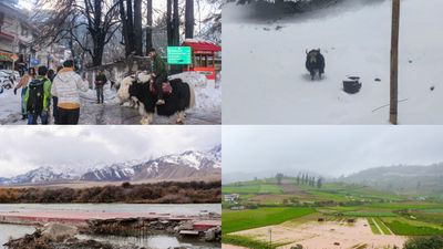 ಬೇಸಿಗೆಯ ಸುಡು ಬಿಸಿಲಿನಿಂದ ಪಾರಾಗಲು ಭೇಟಿ ನೀಡಬಹುದಾದ ಭಾರತದ 10 ಪ್ರೇಕ್ಷಣೀಯ ಸ್ಥಳಗಳು 