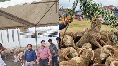 2026 ಬಕ್ರೀದ್ ಮುನ್ನ ಜಿಬಿಎ ಕಾರ್ಯಾಚರಣೆ: ಅನಧಿಕೃತ ಕುರಿ ಶೆಡ್‌ಗಳ ತೆರವು, ಮುನ್ನೆಚ್ಚರಿಕೆ