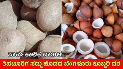 Copra: ಬೆಂಗಳೂರಿನಲ್ಲಿ ಗಗನಕ್ಕೇರಿದ ಕೊಬ್ಬರಿ ದರ, ಕ್ವಿಂಟಾಲ್‌ಗೆ 43,000 ರೂ; ಇಂದಿನ ಮಾರುಕಟ್ಟೆ ಬೆಲೆಪಟ್ಟಿ