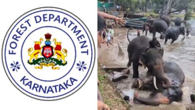 ದುಬಾರಿ ಆನೆ ದುರಂತದಲ್ಲಿ ಮಹಿಳೆ ಸಾವು: 20 ಲಕ್ಷ ರೂ ಪರಿಹಾರ ಘೋಷಣೆ, ಪ್ರವಾಸಿಗರ ರಕ್ಷಣೆಗೆ ಸರ್ಕಾರ ಹೊಸ ಗೈಡ್ಲೈನ್ಸ್