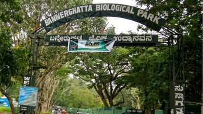 ಬನ್ನೇರುಘಟ್ಟಕ್ಕೆ ಕುತ್ತು ತರಲಿದೆಯೇ ಆನೇಕಲ್ ಕ್ರಿಕೆಟ್ ಕ್ರೀಡಾಂಗಣ? ಯೋಜನೆ ಕೈಬಿಡಲು ಕೆಆರ್‌ಎಸ್ ಆಗ್ರಹ