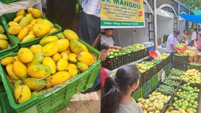 Mango Jackfruit Fair: ಬೆಂಗಳೂರಿನ ಕಬ್ಬನ್‌ ಪಾರ್ಕ್‌ನಲ್ಲಿ ಈ ಬಾರಿ ಎರಡು ಮಾವು-ಹಲಸು ಮೇಳ