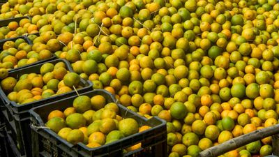 Orange City of India: ಭಾರತದ ಆರೆಂಜ್ ಸಿಟಿ ಎಂದೇ ಖ್ಯಾತಿ ಪಡೆದಿರುವ ನಗರ ಯಾವುದು?