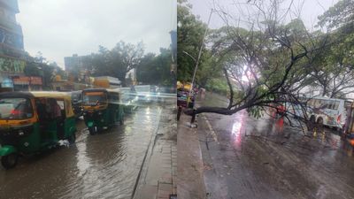 Bengaluru Rains: ನಗರದ 92 ವಾರ್ಡ್ಗಳಲ್ಲಿ ಜೋರು ಮಳೆ, ಸಂಚಾರ ತೊಂದರೆ: ಭಾನುವಾರ ಯೆಲ್ಲೋ ಅಲರ್ಟ್
