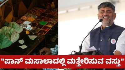 DK Shivakumar: ಬೆಂಗಳೂರಲ್ಲಿ ಪಾನ್ ಮಸಾಲಾ - ಗುಟ್ಕಾದಲ್ಲಿ ಮತ್ತೇರಿಸುವ ವಸ್ತು ಬಳಕೆ: ಸಿಎಂ ಡಿಕೆಶಿ ಎಚ್ಚರಿಕೆ 