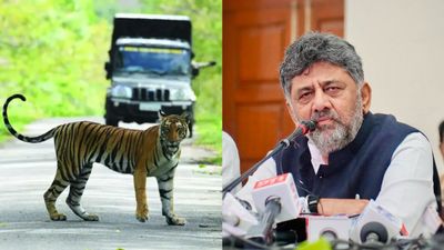 ಪ್ರವಾಸಿಗರೇ ಗಮನಿಸಿ: ಬಂಡೀಪುರ, ನಾಗರಹೊಳೆಯಲ್ಲಿ ಸಫಾರಿಗೆ ಬಂತು ಹೊಸ ರೂಲ್ಸ್