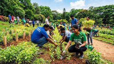 'ಬೆಂಗಳೂರು ಹಸಿರೂರು' ಅಭಿಯಾನ: 64 ಸಾವಿರ ಸಸಿ ನೆಡುವ ಗುರಿ, ನಾಗರಿಕರಿಗೆ ಉಚಿತ ಸಸಿ ಬೇಕಾ? ಮನವಿ ಸಲ್ಲಿಸಿ