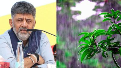 Karnataka Rain: ಕರ್ನಾಟಕದಲ್ಲಿ ಮಳೆ ಕೊರತೆ; ಬರದ ಕಾರ್ಮೋಡ: ಸರ್ಕಾರಕ್ಕೆ ಈ 3 ವಿಷಯಗಳದ್ದೇ ಚಿಂತೆ!