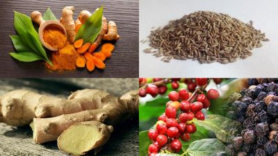 ಮಳೆಗಾಲಕ್ಕೆ ಮನೆ ಮದ್ದು, ಆರೋಗ್ಯ ಜೋಪಾನ, ಇರಲಿ ಎಚ್ಚರ