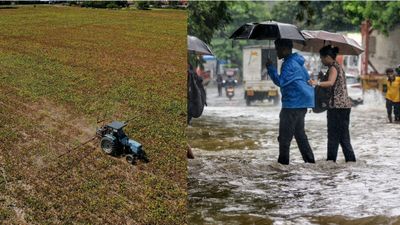 RainFall: ಭಾರತದಲ್ಲಿ ನೈಋತ್ಯ ಮುಂಗಾರು ಮಳೆ ಕೊರತೆ: ಎರಡು ತಿಂಗಳು ಮಳೆ ಆಗದಿದ್ದರೆ ಭಾರೀ ಸಂಕಷ್ಟ, ಈ ವಸ್ತುಗಳ ಬೆಲೆ ಏರಿಕೆ