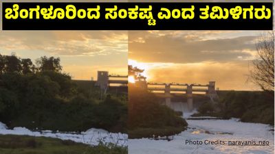 Viral Video: ಬೆಂಗಳೂರಿನ ಫ್ಯಾಕ್ಟರಿಗಳ ತಪ್ಪು; ನಮಗೆ ಬರುವ ಕಾವೇರಿ ನೀರು ಕಲುಷಿತವಾಗ್ತಿದೆ ಎಂದ ತಮಿಳಿಗರು! 