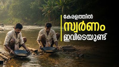 സ്വര്‍ണം ഇഷ്ടംപോലെയുണ്ട്; പക്ഷേ എടുക്കാനാകില്ല, കേരളത്തിലെ 3 ജില്ലകളിലെ നിധി