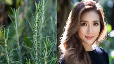 കൊഴിഞ്ഞ് പോയ മുടി വീണ്ടും വളരാൻ റോസ് മേരി സഹായിക്കുമോ? ഇതാണ് ശാസ്ത്രം പറയുന്നത്