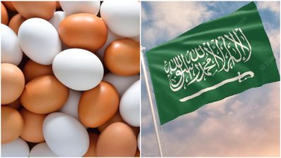 സൗദി അറേബ്യ കോഴിമുട്ട ഇറക്കുമതി നിരോധിച്ചു; രണ്ട് രാജ്യങ്ങള്‍ക്ക് തിരിച്ചടി, കാരണം ഇതാണ്