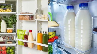 കറന്റ് പോയാല് ഫ്രിഡ്ജിലെ ഭക്ഷണം സുരക്ഷിതമാണോ? രോഗാണുക്കള് വളരുന്നത് എപ്പോള് മുതല്?