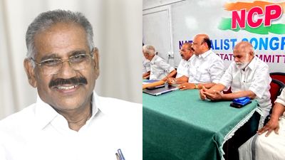 ‘മത്സരാർത്തി’കളായി നേതാക്കൾ, പാർട്ടി വിട്ട് പ്രവർത്തകർ; ആയിരത്തോളം എൻസിപി പ്രവർത്തകർ മാണി ഗ്രൂപ്പിലേക്ക്