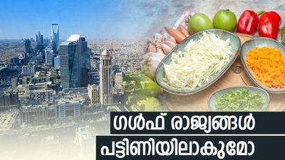 ഗള്ഫ് രാജ്യങ്ങള് പട്ടിണിയിലാകുമോ? ലോകം വന് പ്രതിസന്ധിയിലേക്ക്, ഇന്ത്യയ്ക്കും തിരിച്ചടി