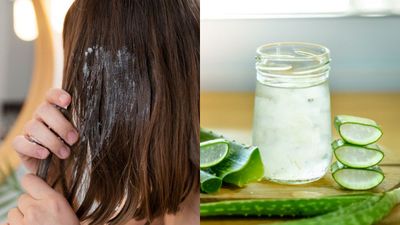 മുടിയുടെ സൗന്ദര്യം വെറും ചോയ്‌സ് അല്ല; കറ്റാർവാഴ ഉണ്ടെങ്കിൽ പിടിച്ചാൽ കിട്ടില്ല, ഈ മാസ്‌കുകൾ പരീക്ഷിക്കൂ