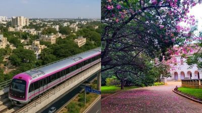 ബെംഗളൂരു നമ്മ മെട്രോ മൂന്നാംഘട്ടത്തിന് തിരിച്ചടി; മരം മുറിക്കുന്നതിൽ അനുമതി വൈകുന്നു, യാത്രക്കാർ ദുരിതത്തിൽ