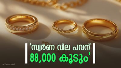 'സ്വർണ വില ഗ്രാമിന് 20,000 രൂപയിലേക്ക്?, ആഭരണപ്രേമികളുടെ ചങ്ക് പൊട്ടും..; സ്വർണ വ്യാപാരി പറയുന്നു