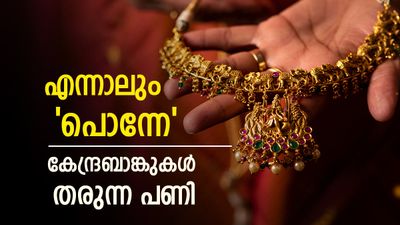 സ്വർണം ഒരു പവൻ കിട്ടാൻ 2 ലക്ഷവും പോരാതെ വരും; കേന്ദ്രബാങ്കുകൾ തരുന്നത് എട്ടിൻ്റെ പണി..പക്ഷെ