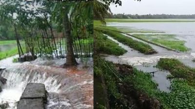 ആര് വന്നാലും കണ്ണീർ തോരുന്നില്ല, കുടിവെള്ളവും വെള്ളപ്പൊക്കവും കുട്ടനാട്ടിൽ തെരഞ്ഞെടുപ്പ് വിഷയങ്ങൾ
