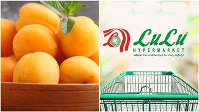 ലുലു ഗ്രൂപ്പ് കൈകൊടുത്തു; ലഡാക്ക് ആപ്രിക്കോട്ട് ലോക വിപണിയിലേക്ക്, 1000 മെട്രിക് ടണ്‍