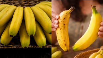 നിങ്ങൾ കഴിക്കുന്നത് വിഷമാണോ?  'കെമിക്കൽ പഴങ്ങളെ' തിരിച്ചറിയാൻ ഇതാ 5 വിദ്യകൾ