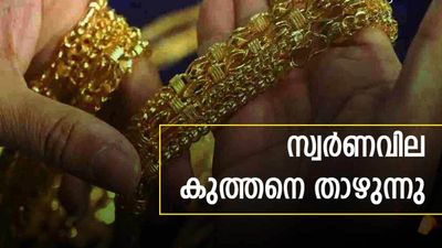 സ്വര്ണം വാങ്ങിവെച്ചത് മണ്ടത്തരമായോ? പ്രവചനം പിന്വലിച്ച് ജെപി മോര്ഗന്; വിലയിടിയാന് പോകുന്നു?