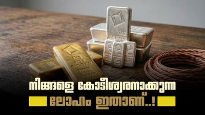 സ്വർണ്ണമോ, വെള്ളിയോ, ചെമ്പോ? ഭാവിയിൽ നിങ്ങളെ കോടീശ്വരനാക്കാൻ പോകുന്ന നിക്ഷേപം ഏതാണ്!