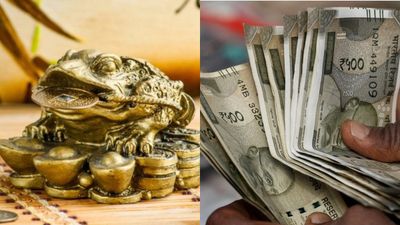ഈ മൂന്ന് കാലുള്ള തവളയെ വീട്ടിൽ വെക്കൂ; സമ്പത്ത് ഒഴുകിയെത്തും; പക്ഷേ ഈ തെറ്റ് ചെയ്യരുത്!