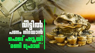 ഈ മൂന്ന് കാലുള്ള തവളയെ വീട്ടിൽ വെക്കൂ; സമ്പത്ത് ഒഴുകിയെത്തും; പക്ഷേ ഈ തെറ്റ് ചെയ്യരുത്!
