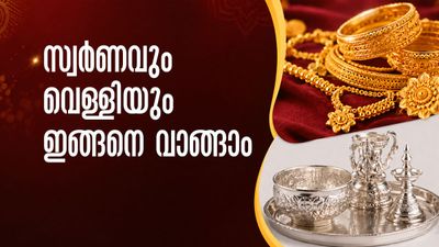 സ്വര്‍ണവും വെള്ളിയും വാങ്ങിക്കൂട്ടേണ്ട.. ഇങ്ങനെ നിക്ഷേപിച്ചാല്‍ ഒരിക്കലും നഷ്ടം വരില്ല