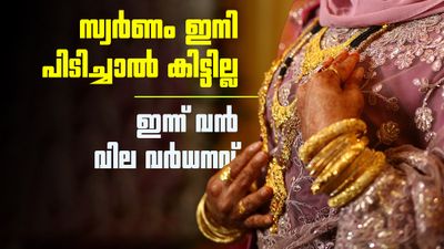 സ്വര്ണം പറക്കാന് തുടങ്ങി; സ്വര്ണ വില കുതിച്ചു, ഈ മാസം 11ന് വാങ്ങിയവര്ക്ക് നേട്ടം, പവന് വില