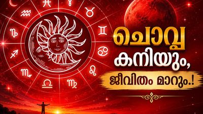 ചൊവ്വ രോഹിണി നക്ഷത്രത്തിലേക്ക്; ഈ രാശിക്കാർക്ക് വിദേശത്ത് ജോലി, കാത്തിരുന്ന പ്രണയം പൂവണിയും!